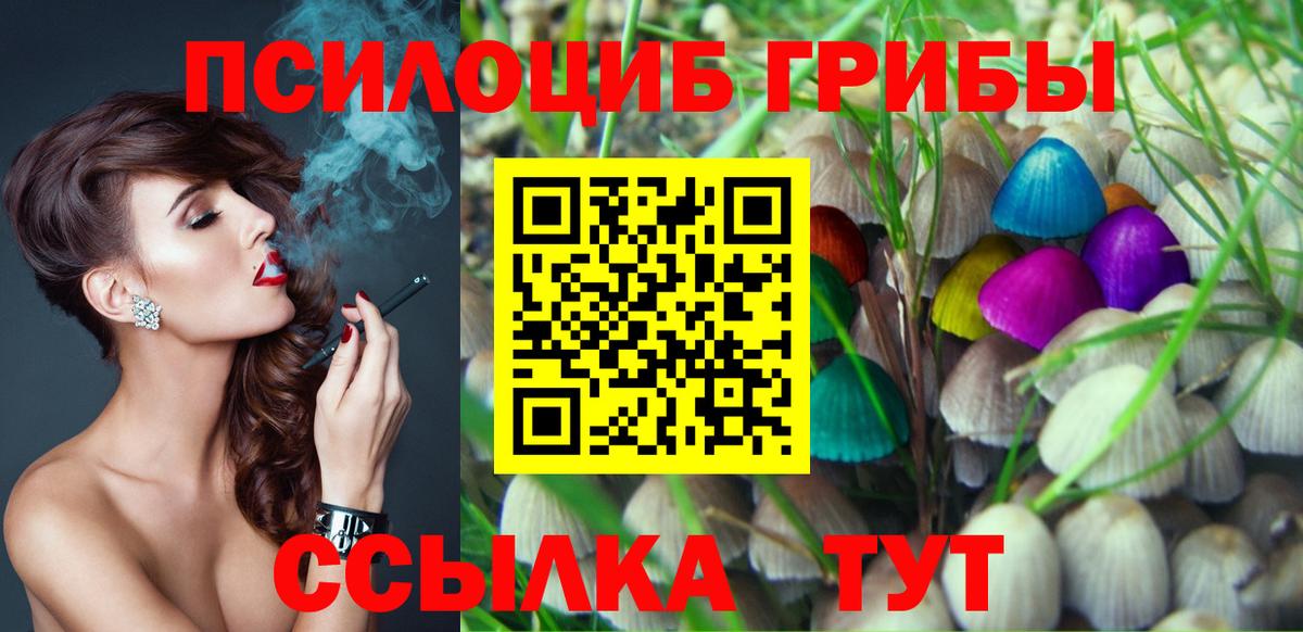 Галлюциногенные грибы Magic Shrooms  Вход с VPN  Галлюциногенные грибы Psilocybine cubensis  Балашиха 